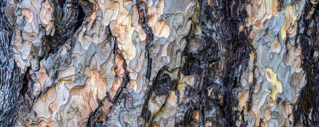 Similar image 21838638