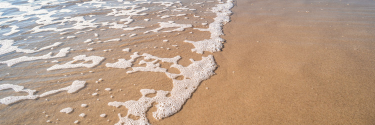 Similar image 21838640