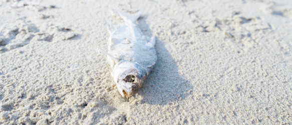 Similar image 21838644