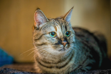 Similar image 21838649