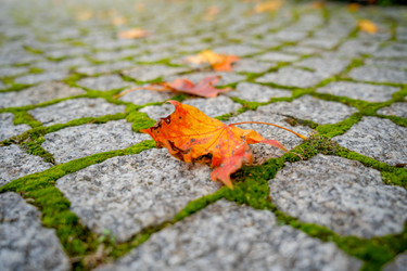 Similar image 21838659