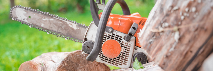 Similar image 21838661