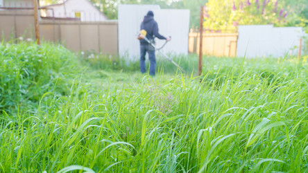 Similar image 21838663