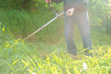 Similar image 21838664