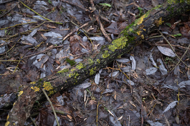 Similar image 21838669