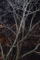 Similar image 21838671