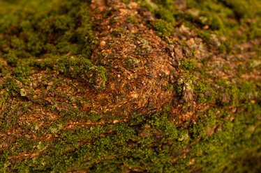 Similar image 21838672