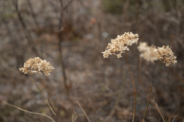 Similar image 21838675