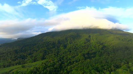 Similar image 21841827