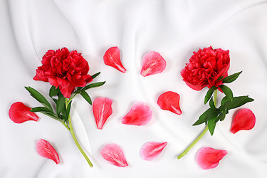 Similar image 21838681