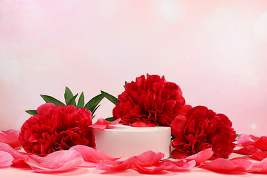 Similar image 21838682