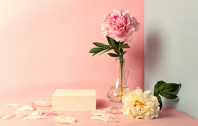 Similar image 21838683