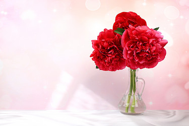 Similar image 21838684