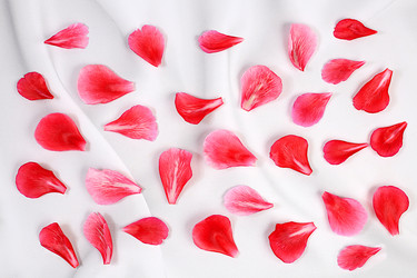 Similar image 21838685