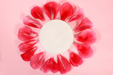 Similar image 21838686