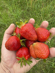 Similar image 21839512