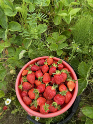 Similar image 21839513