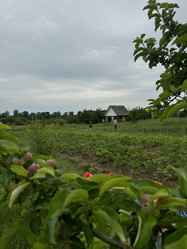 Similar image 21839515