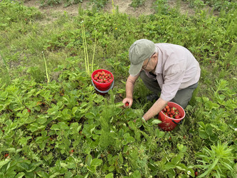 Similar image 21839516