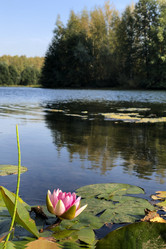 Similar image 21839517