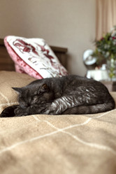 Similar image 21839518