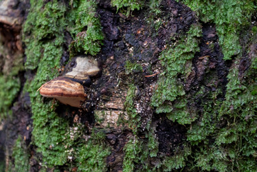 Similar image 21839519