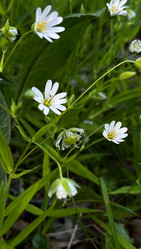 Similar image 21839521