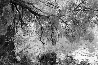 Similar image 21840614