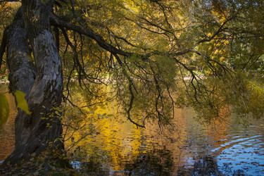 Similar image 21840615