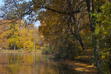 Similar image 21840616