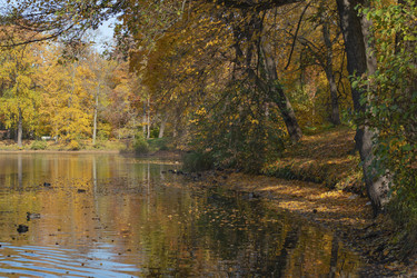 Similar image 21840617