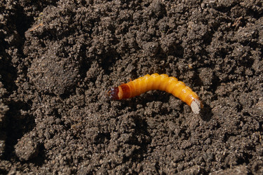 Similar image 21839930