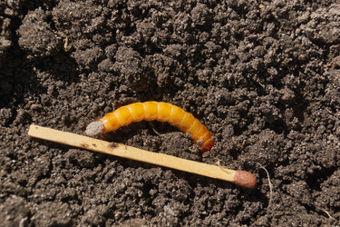 Similar image 21839931