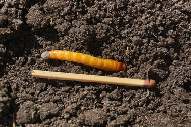 Similar image 21839932