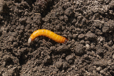 Similar image 21839933