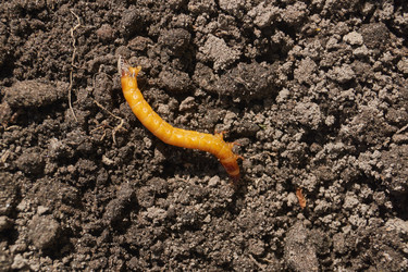 Similar image 21839934