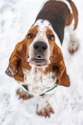 Similar image 21842197