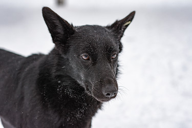 Similar image 21842199