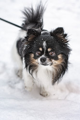 Similar image 21842200