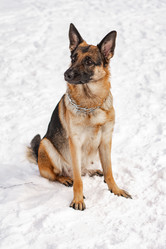 Similar image 21842201