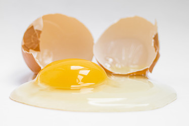 Similar image 21842202