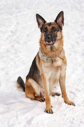 Similar image 21842203