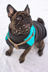 Similar image 21842207