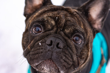 Similar image 21842209