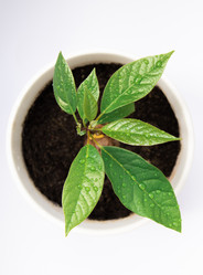 Similar image 21842210