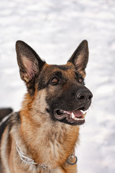 Similar image 21842211