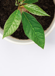 Similar image 21842212