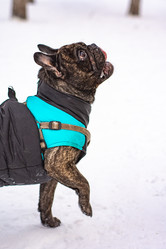 Similar image 21842213