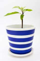 Similar image 21842214