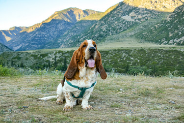 Similar image 21842215